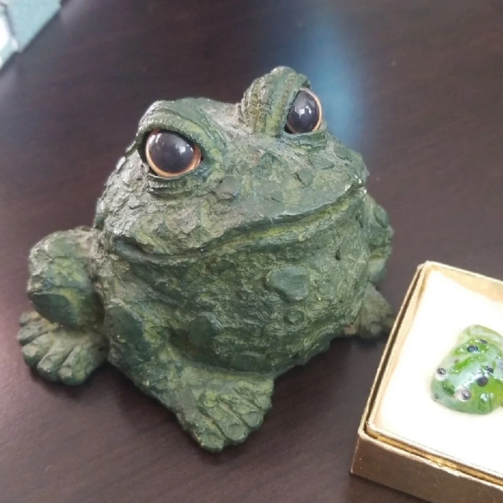 Frog / Toad Home or Garden Decor